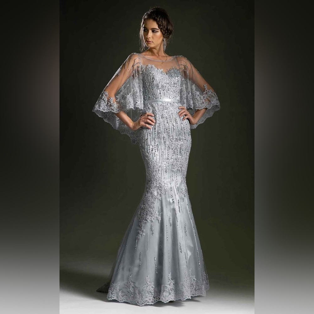 Stunning Silver Lace Dress